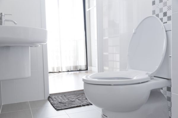 Cost of Toilet Relocation in Hickory